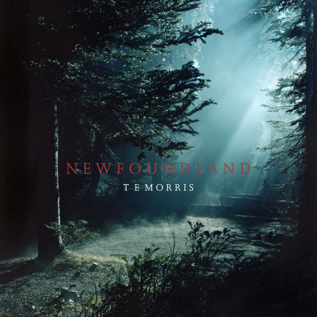 Newfoundland cover art