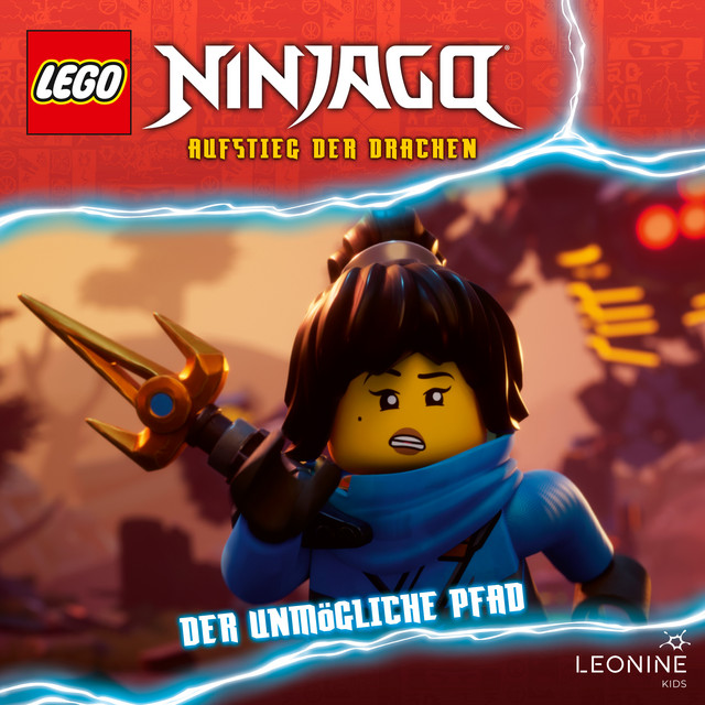 Cover: Der unmögliche Pfad