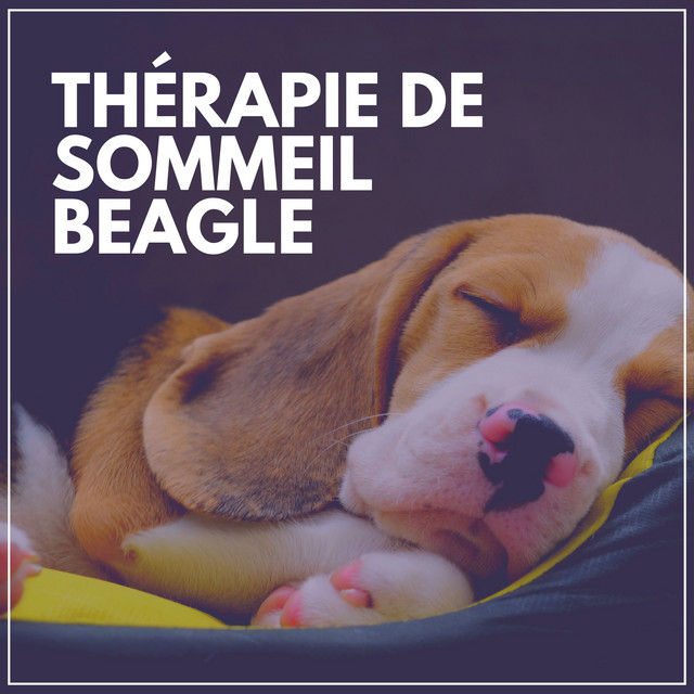 Thérapie de Sommeil Beagle - Album by Musique Calmante Pour Chiens ...