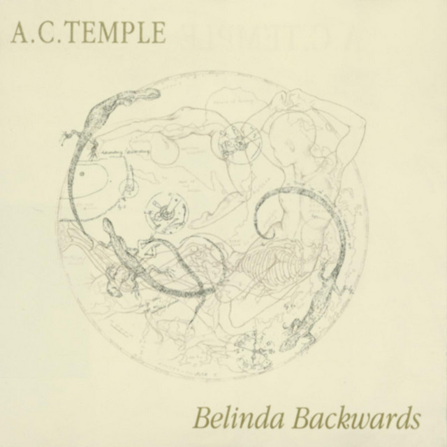 Belinda Backwards cover art