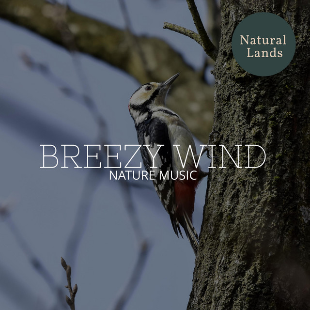 Crickets Buzz on Camping Grounds cover art