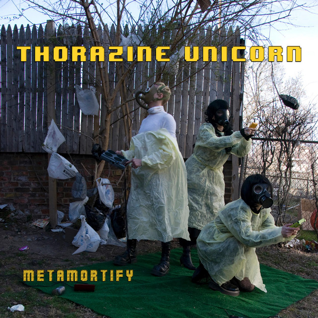 Metamortify cover