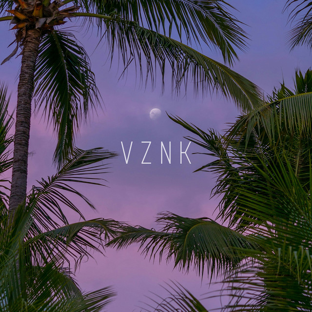 Palm Night