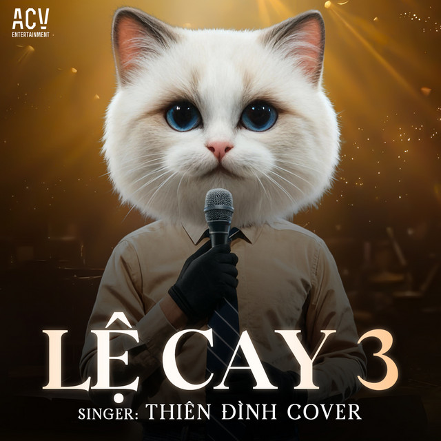Lệ Cay 3 (Cover) cover art