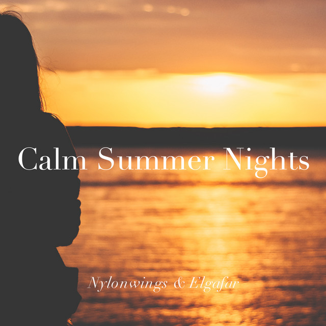 Calm Summer Nights