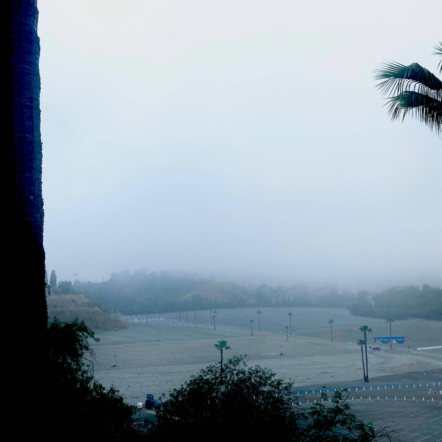 all the same moves cover