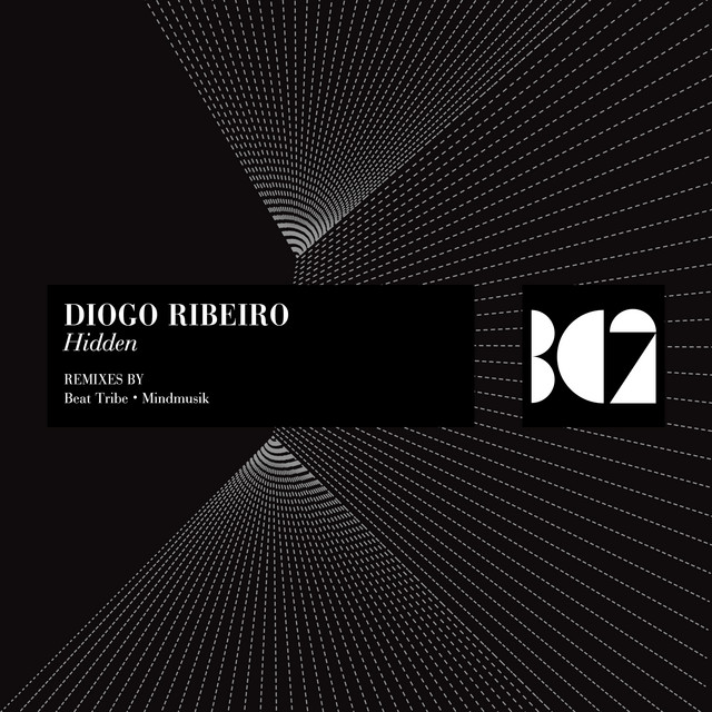 Hidden cover art