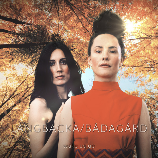 Omslag för Wake Us Up av Långbacka/Bådagård
