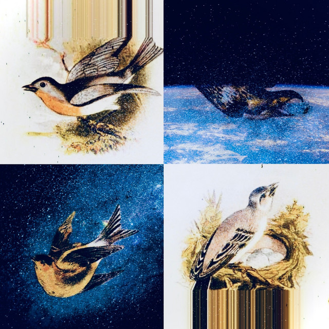 Parking Lot Astronautical cover