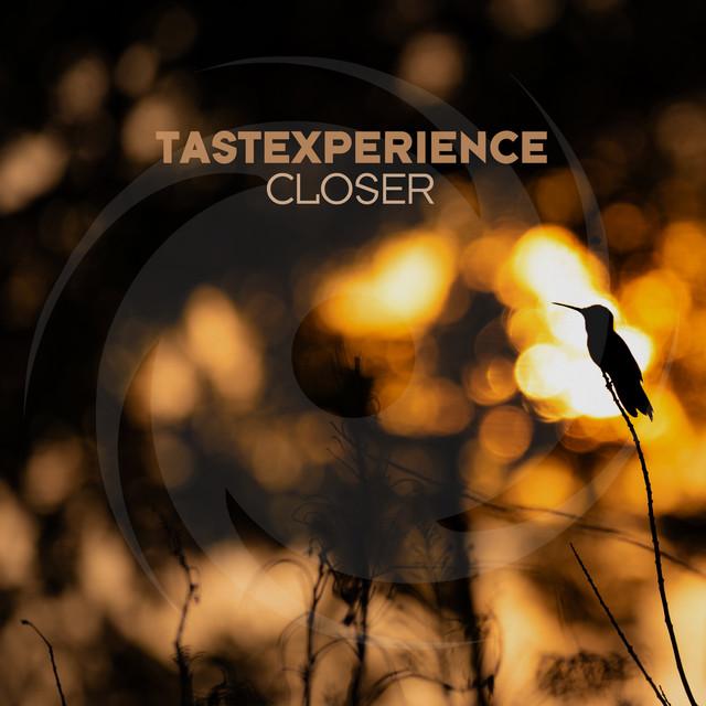 Closer - Sherpa Remix cover art