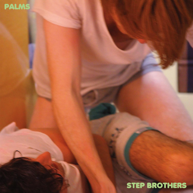 Stepbrothers cover art