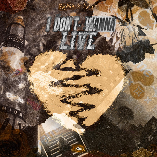 I Don't Wanna Live
