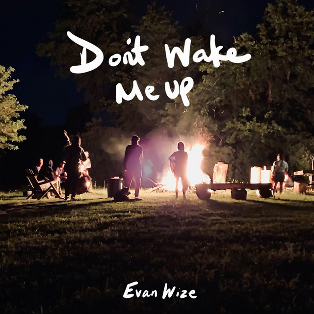Don't Wake Me Up cover
