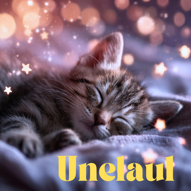 Unelaul cover