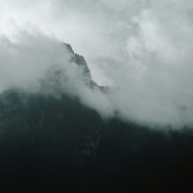 Обкладинка: Spectres — Arctica