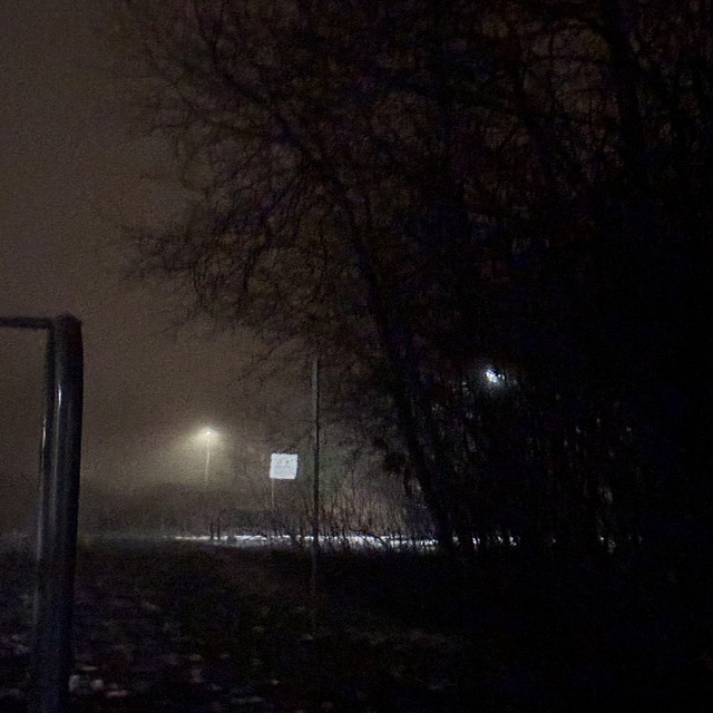 Parallel Echoes