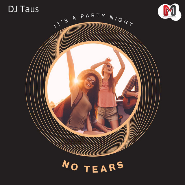 No Tears - It's A Party Night cover art