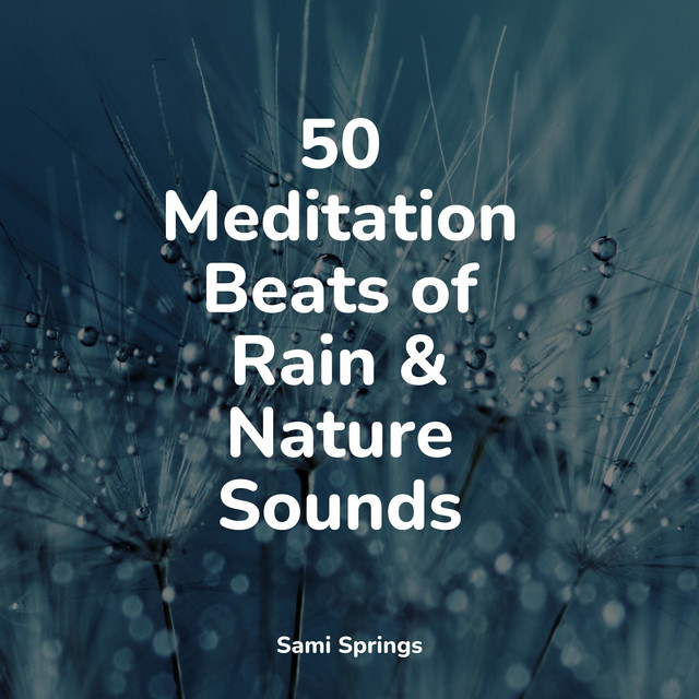 50 Meditation Beats of Rain & Nature Sounds - Album by Naturaleza ...