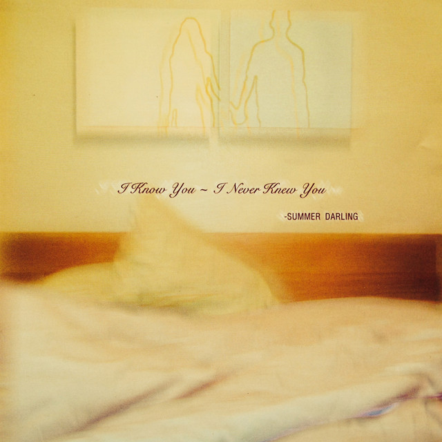 I Know You, I Never Knew You cover art