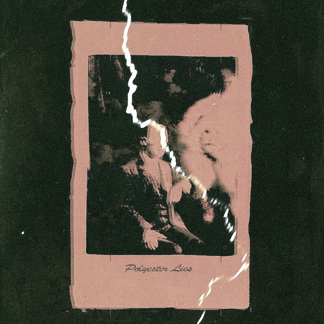 Polyester Lies cover art