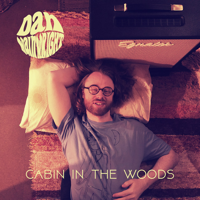 Cabin In The Woods cover