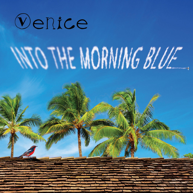 Into the Morning Blue cover art