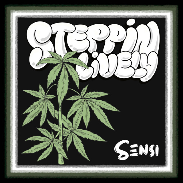 Sensi cover