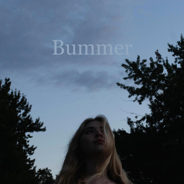 Bummer cover art