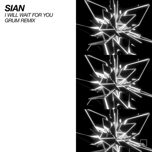 I Will Wait For You - Grum Remix