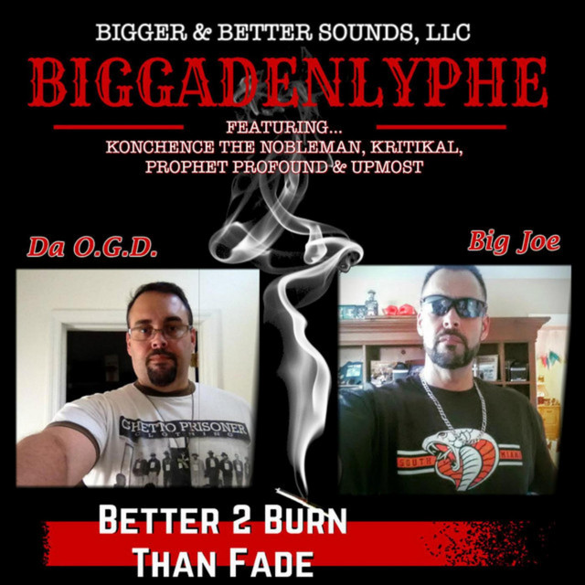 Better 2 Burn Than Fade cover