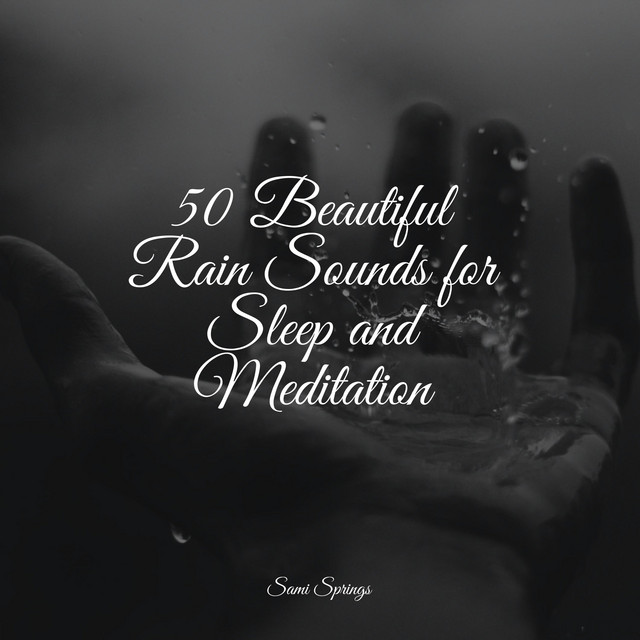 50 Beautiful Rain Sounds for Sleep and Meditation - Album by White ...