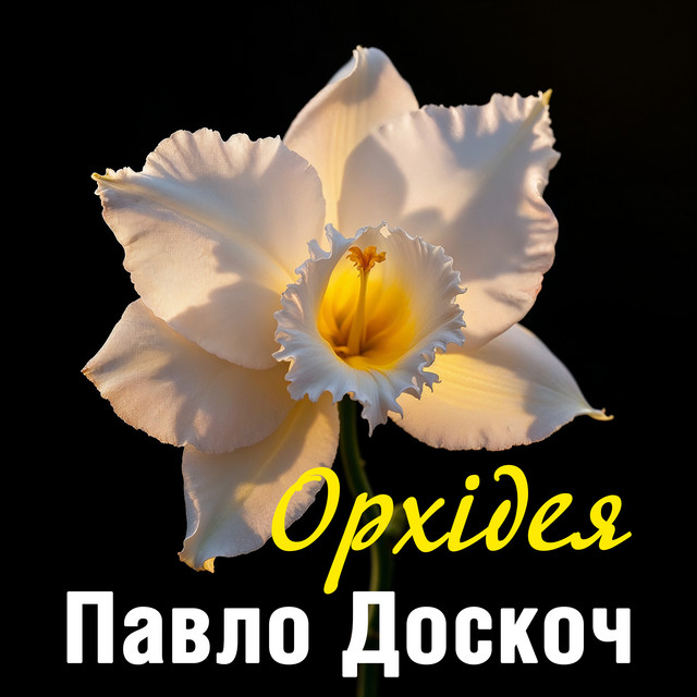 Обкладинка: Орхідея — Павло Доскоч