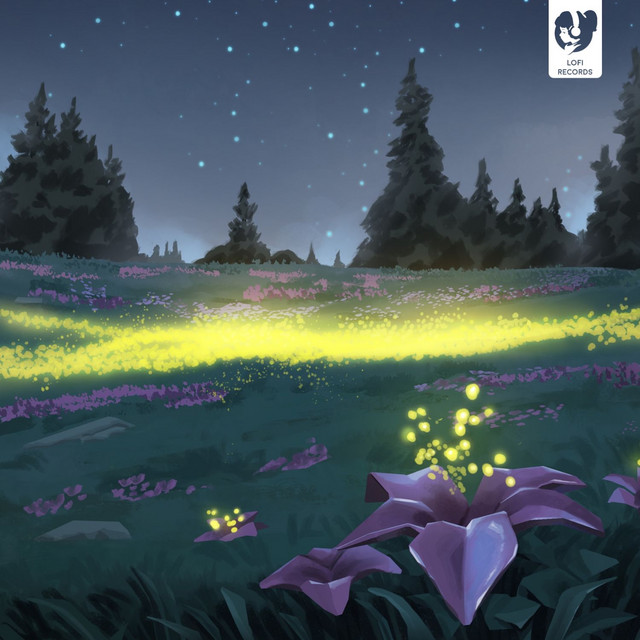 where the wind carries you album image