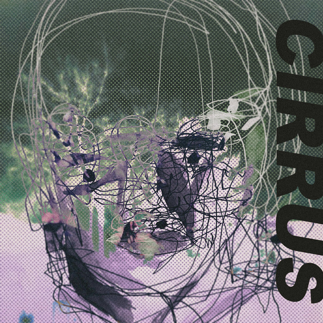Two Many Faces cover art
