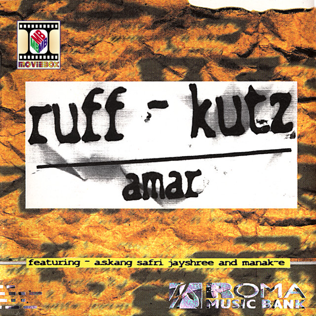Put Sardara De (House Mix) cover art