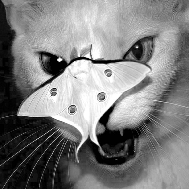 backr00ms - narcissist slowed