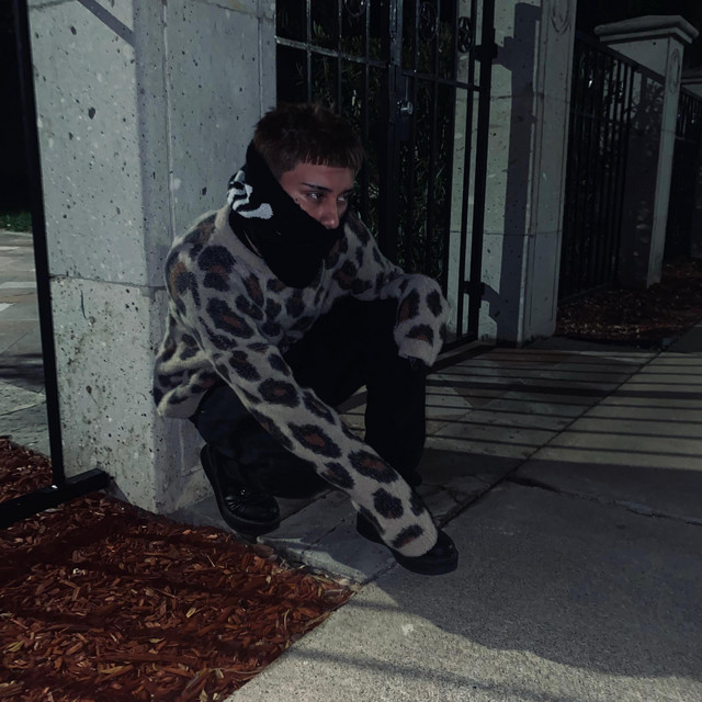 Dis me. cover art