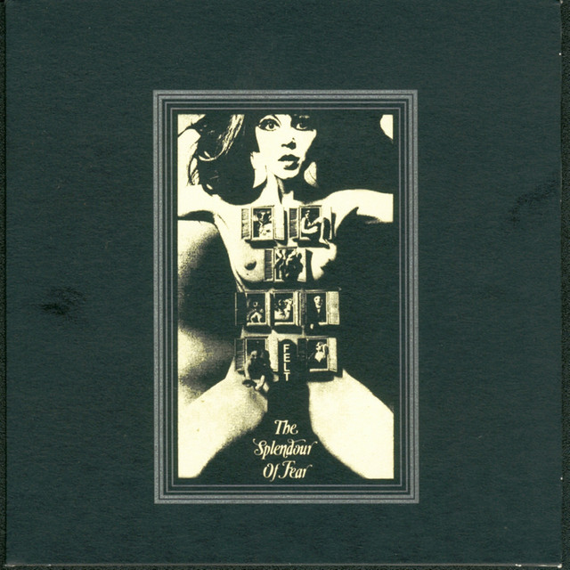 The Splendour of Fear by Felt