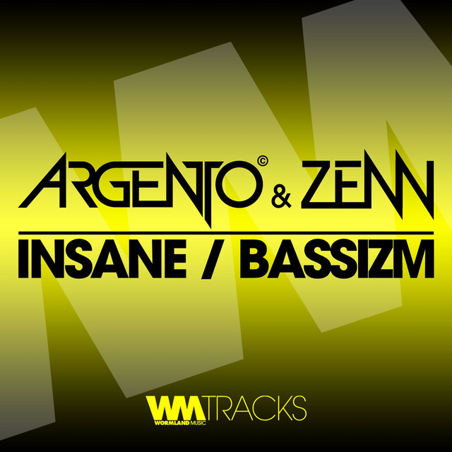 Insane / Bassizm cover art
