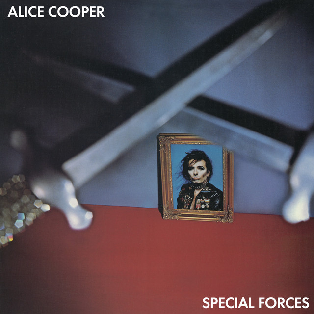 Special Forces cover