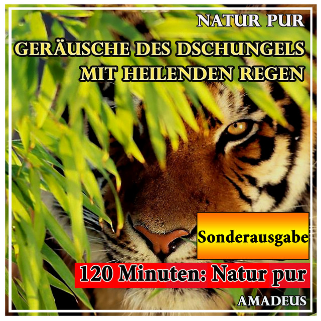 Geräusche des Dschungels mit heilenden Regen: Natur pur: Sonderausgabe cover art