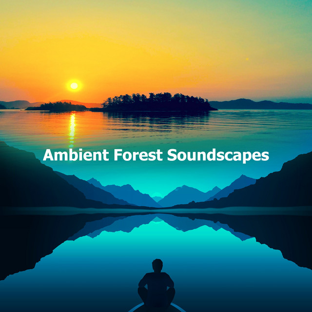Ambient Forest Soundscapes ! ! ! ! - Album by Zen Soothing Sounds of ...