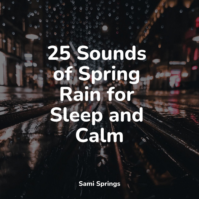 25 Sounds of Spring Rain for Sleep and Calm - Album by Mindfulness ...