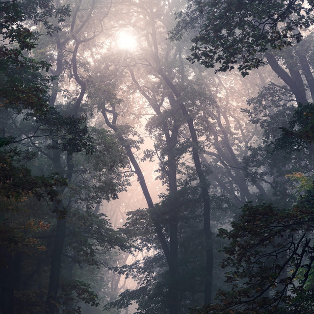 light at the end cover art