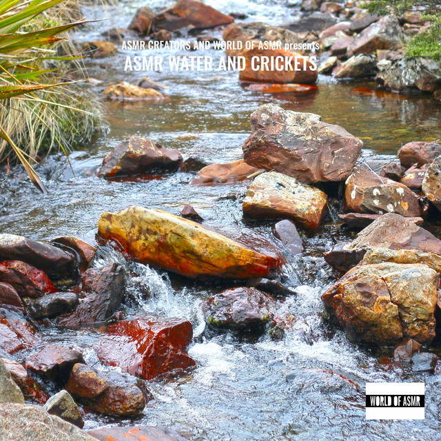 Asmr Water and Crickets cover art