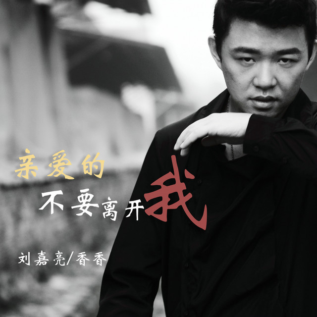 亲爱的不要离开我 (合唱版) cover