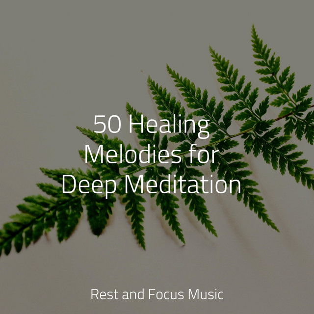 50 Healing Melodies for Deep Meditation - Album by Shakuhachi Sakano ...