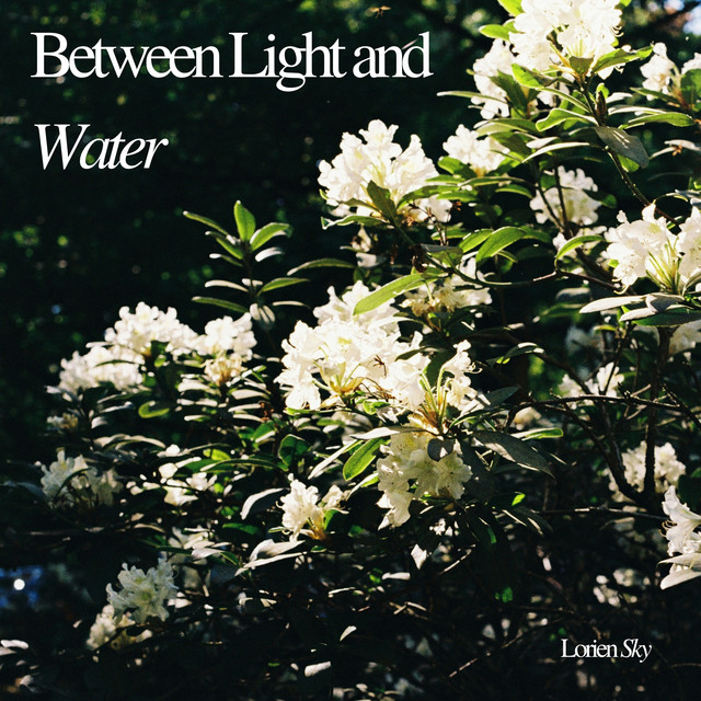 Cover of Between Light and Water by Lorien Sky