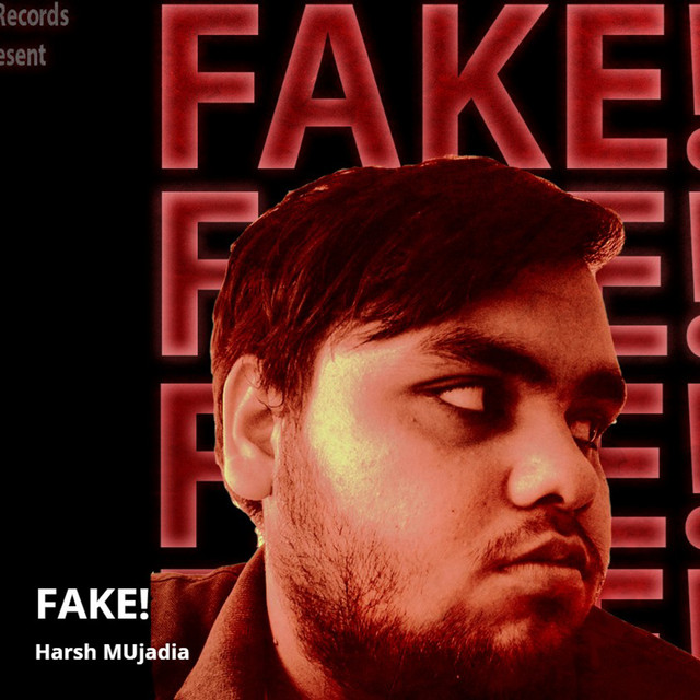 Fake! cover art