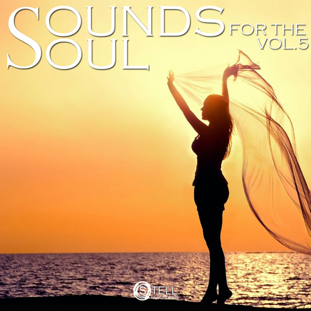 Sounds For The Soul, Vol. 5 cover